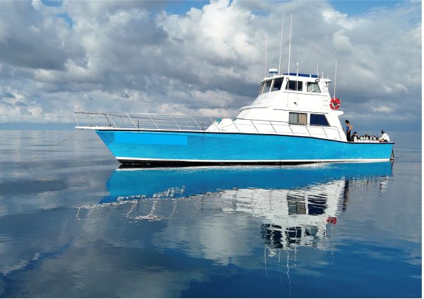 19.5m Week long, 12 guest Live aboard dive/ research vessel – For sale