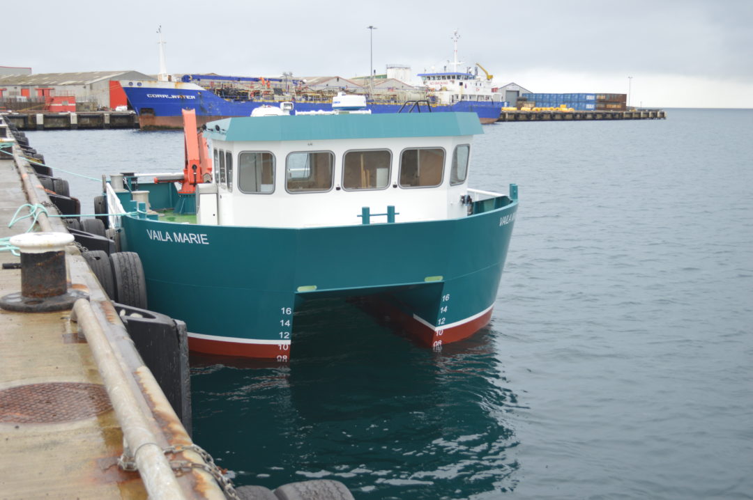 catamaran workboat